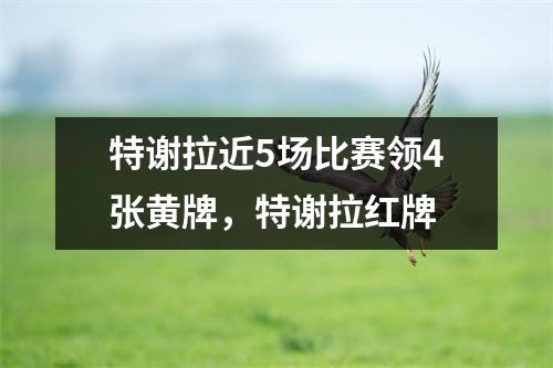 特谢拉近5场比赛领4张黄牌，特谢拉红牌