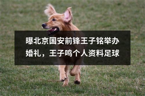 曝北京国安前锋王子铭举办婚礼，王子鸣个人资料足球