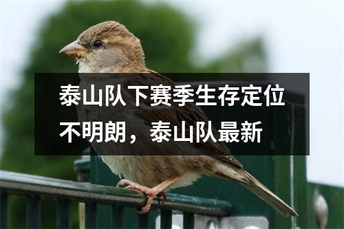 泰山队下赛季生存定位不明朗，泰山队最新