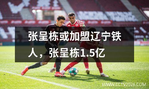张呈栋或加盟辽宁铁人，张呈栋1.5亿