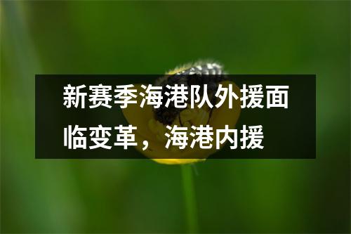新赛季海港队外援面临变革，海港内援