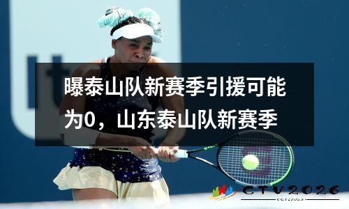 曝泰山队新赛季引援可能为0，山东泰山队新赛季