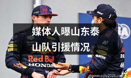媒体人曝山东泰山队引援情况