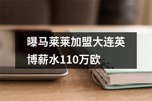 曝马莱莱加盟大连英博薪水110万欧