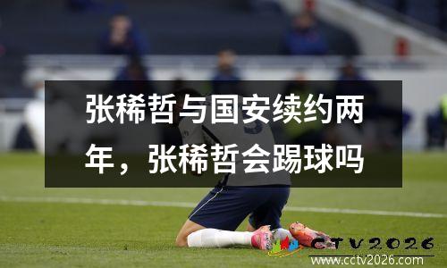 张稀哲与国安续约两年，张稀哲会踢球吗
