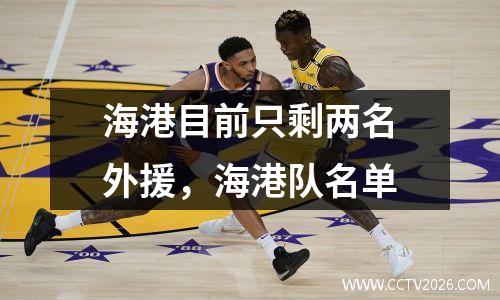 海港目前只剩两名外援，海港队名单