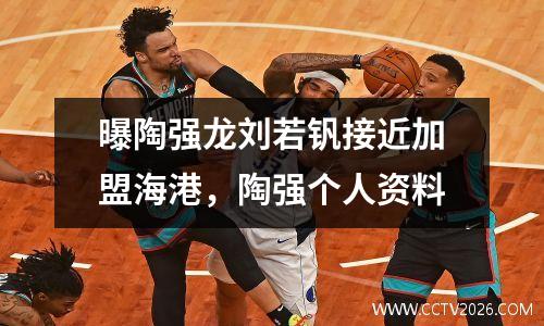 曝陶强龙刘若钒接近加盟海港，陶强个人资料