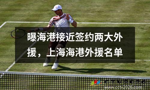 曝海港接近签约两大外援，上海海港外援名单