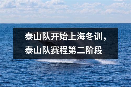 泰山队开始上海冬训，泰山队赛程第二阶段