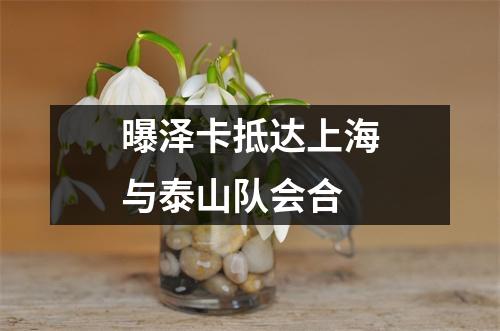曝泽卡抵达上海与泰山队会合