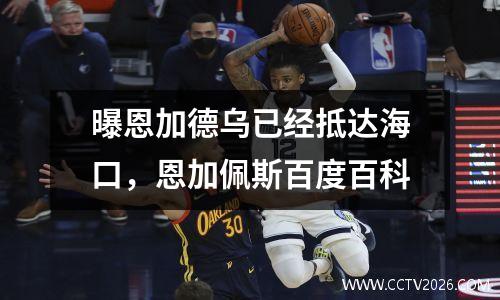曝恩加德乌已经抵达海口，恩加佩斯百度百科