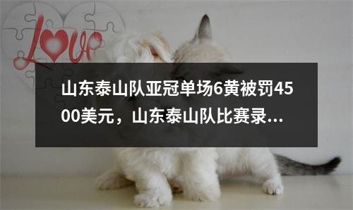 山东泰山队亚冠单场6黄被罚4500美元，山东泰山队比赛录像回放