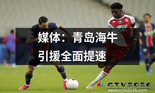 媒体：青岛海牛引援全面提速