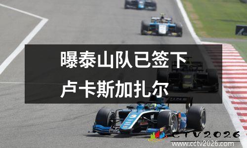 曝泰山队已签下卢卡斯加扎尔