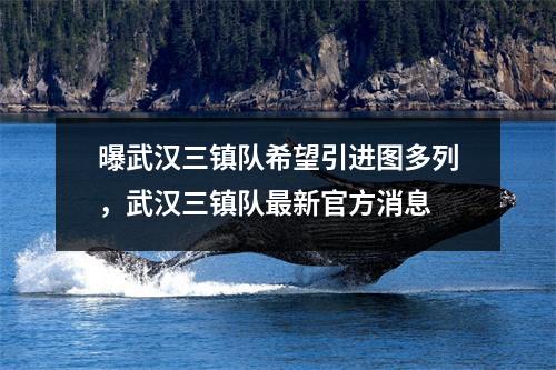 曝武汉三镇队希望引进图多列，武汉三镇队最新官方消息