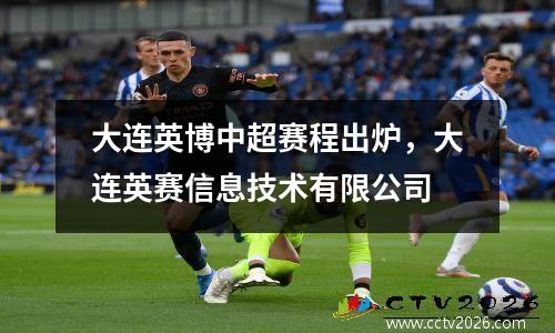 大连英博中超赛程出炉，大连英赛信息技术有限公司