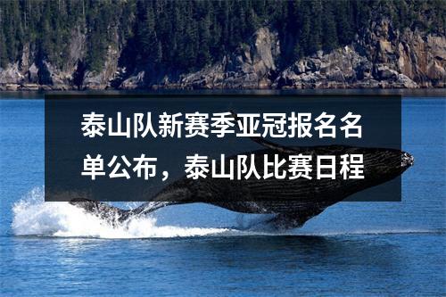 泰山队新赛季亚冠报名名单公布，泰山队比赛日程