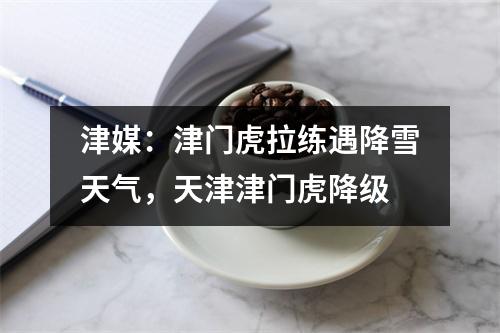 津媒：津门虎拉练遇降雪天气，天津津门虎降级