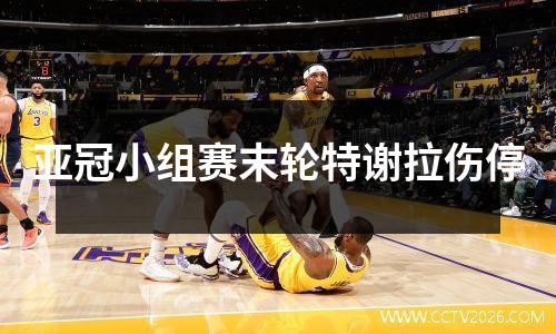 亚冠小组赛末轮特谢拉伤停
