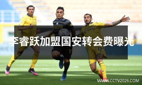 李睿跃加盟国安转会费曝光