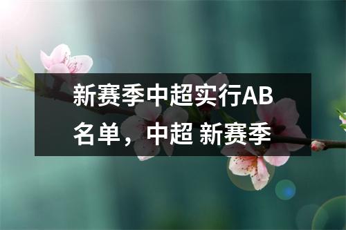 新赛季中超实行AB名单，中超 新赛季