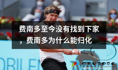 费南多至今没有找到下家，费南多为什么能归化