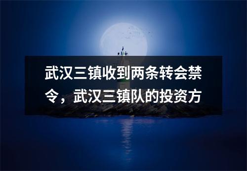 武汉三镇收到两条转会禁令，武汉三镇队的投资方