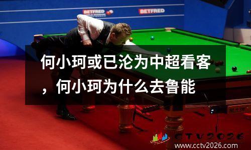 何小珂或已沦为中超看客，何小珂为什么去鲁能