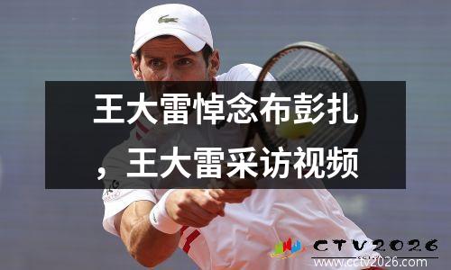王大雷悼念布彭扎，王大雷采访视频