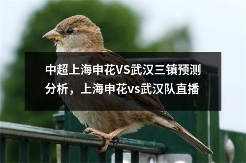 中超上海申花VS武汉三镇预测分析，上海申花vs武汉队直播