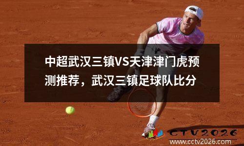 中超武汉三镇VS天津津门虎预测推荐，武汉三镇足球队比分