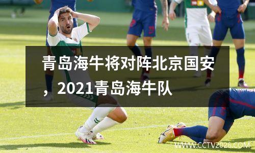 青岛海牛将对阵北京国安，2021青岛海牛队