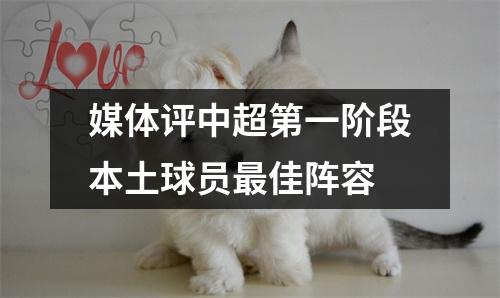 媒体评中超第一阶段本土球员最佳阵容