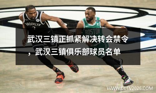 武汉三镇正抓紧解决转会禁令，武汉三镇俱乐部球员名单