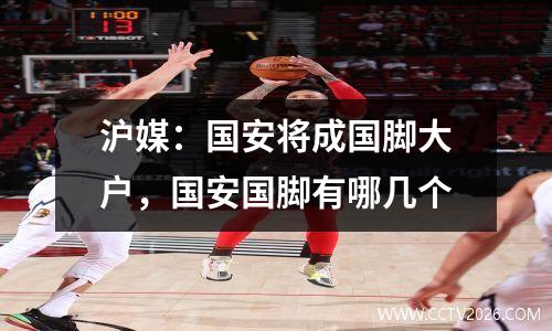 沪媒：国安将成国脚大户，国安国脚有哪几个