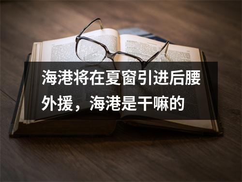 海港将在夏窗引进后腰外援，海港是干嘛的