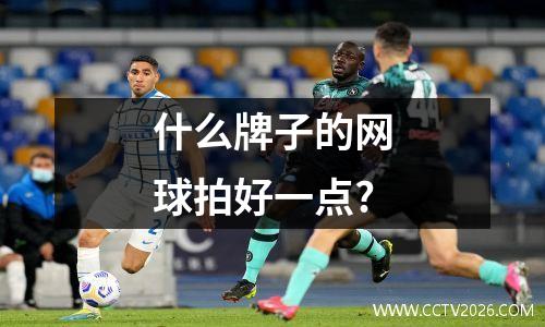 什么牌子的网球拍好一点?