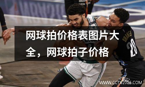 网球拍价格表图片大全，网球拍子价格