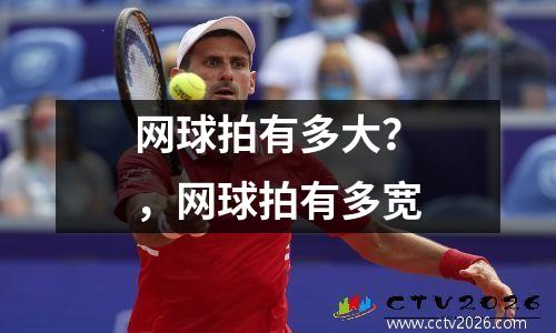 网球拍有多大？，网球拍有多宽