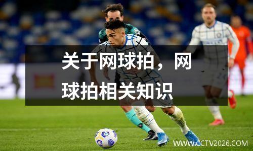 关于网球拍，网球拍相关知识
