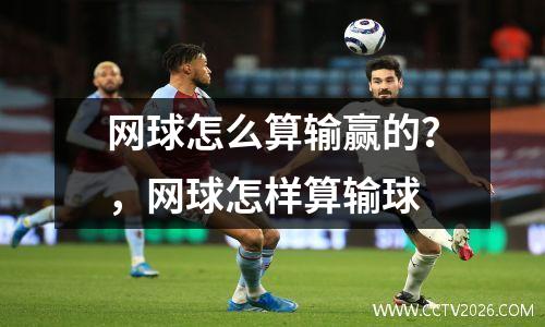 网球怎么算输赢的？，网球怎样算输球