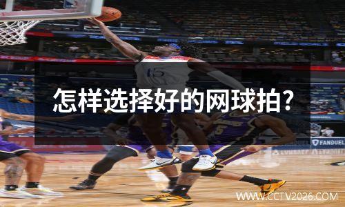 怎样选择好的网球拍?
