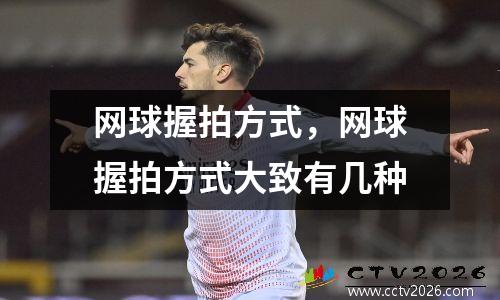 网球握拍方式，网球握拍方式大致有几种