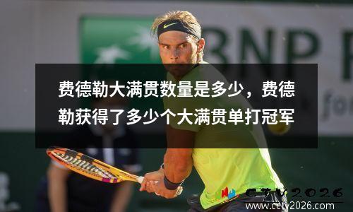 费德勒大满贯数量是多少，费德勒获得了多少个大满贯单打冠军
