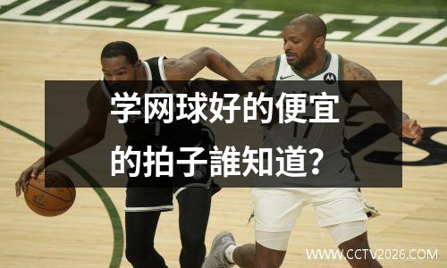 学网球好的便宜的拍子誰知道？
