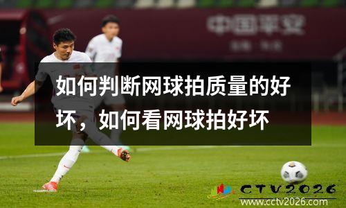 如何判断网球拍质量的好坏，如何看网球拍好坏
