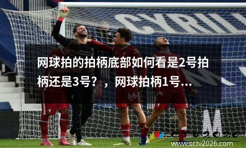 网球拍的拍柄底部如何看是2号拍柄还是3号？，网球拍柄1号是粗还是细