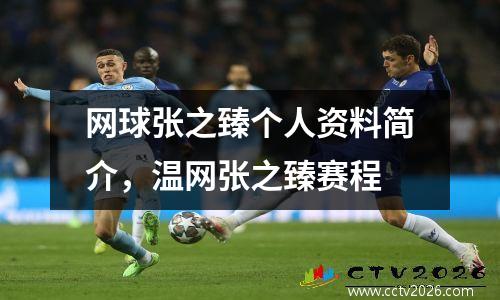 网球张之臻个人资料简介，温网张之臻赛程