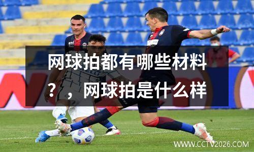 网球拍都有哪些材料？，网球拍是什么样