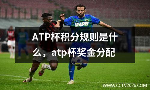 ATP杯积分规则是什么，atp杯奖金分配